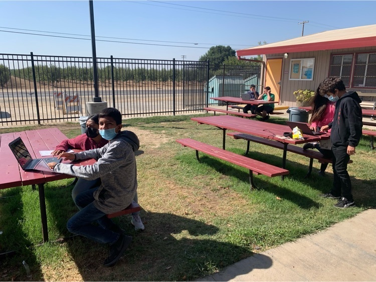Students sitting on benches recording on computers