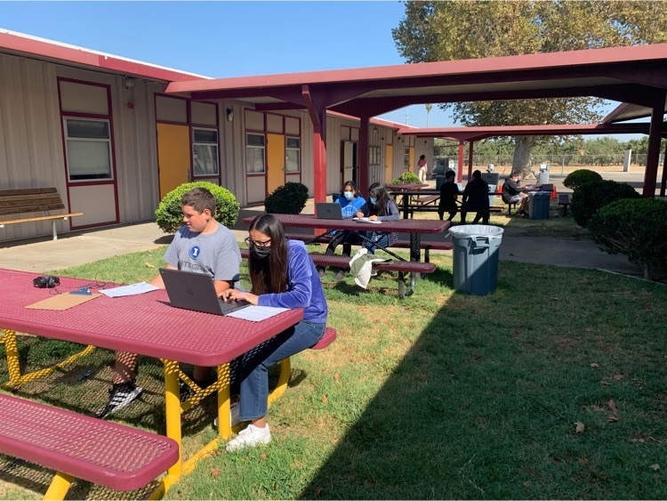 Students sitting on benches recording on computers  