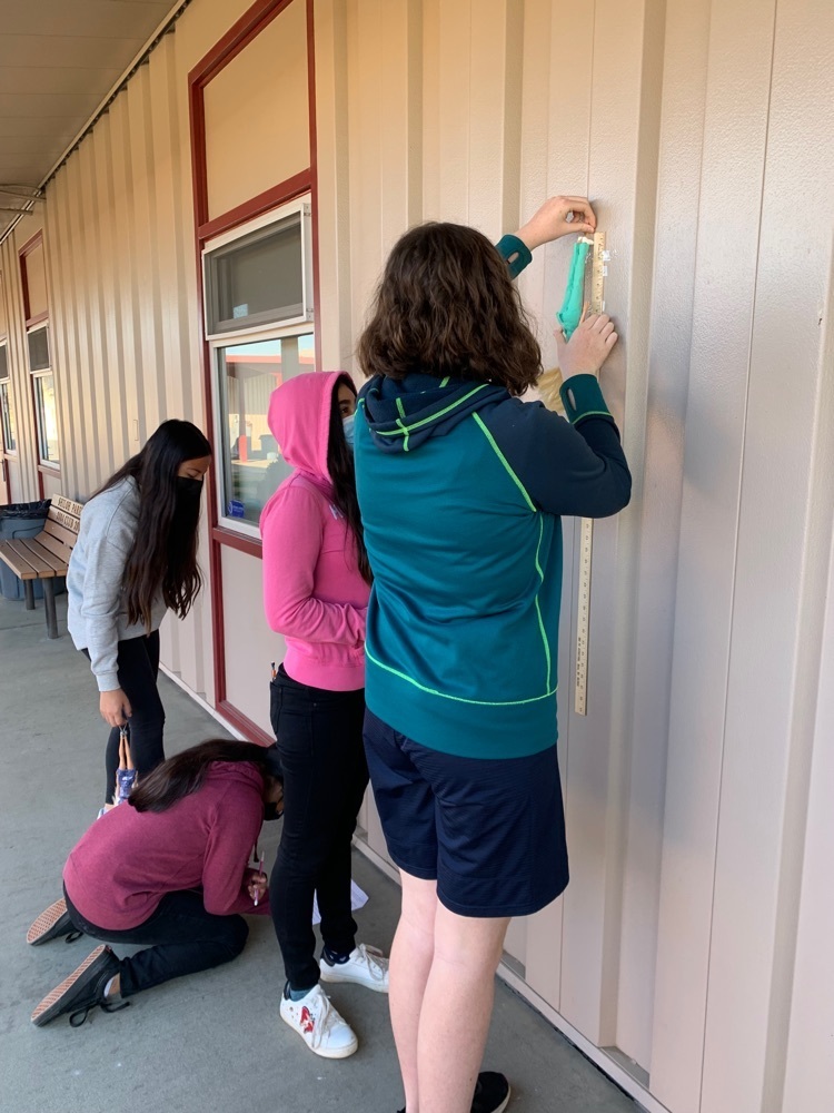 group of students measuring with meter stick