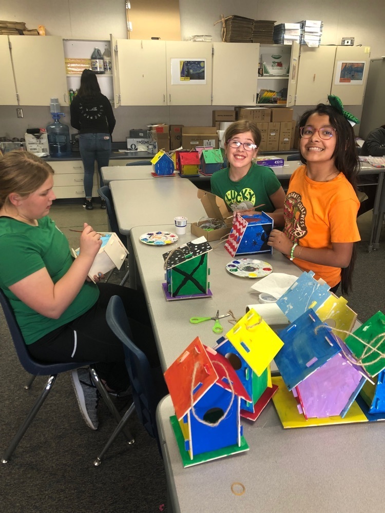 ASP birdhouse building/painting