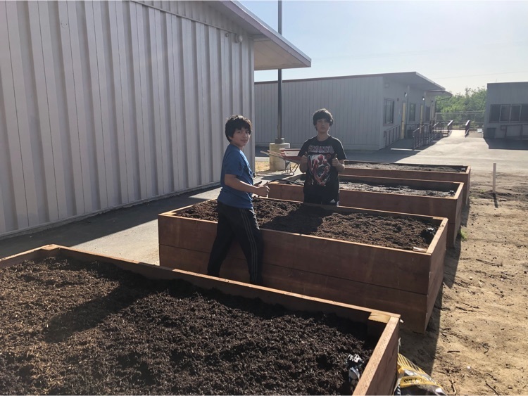 ASP Gardening