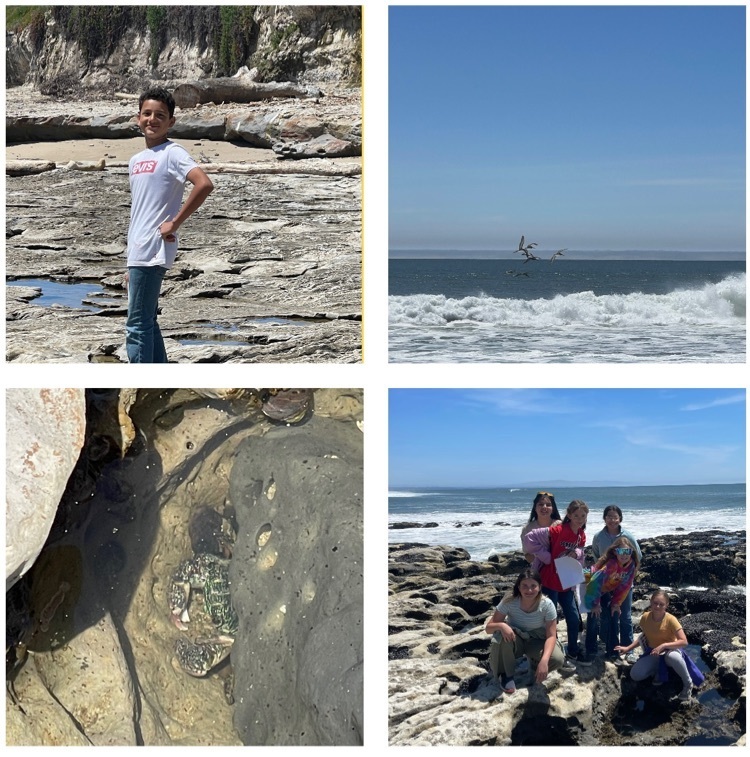 tidepools