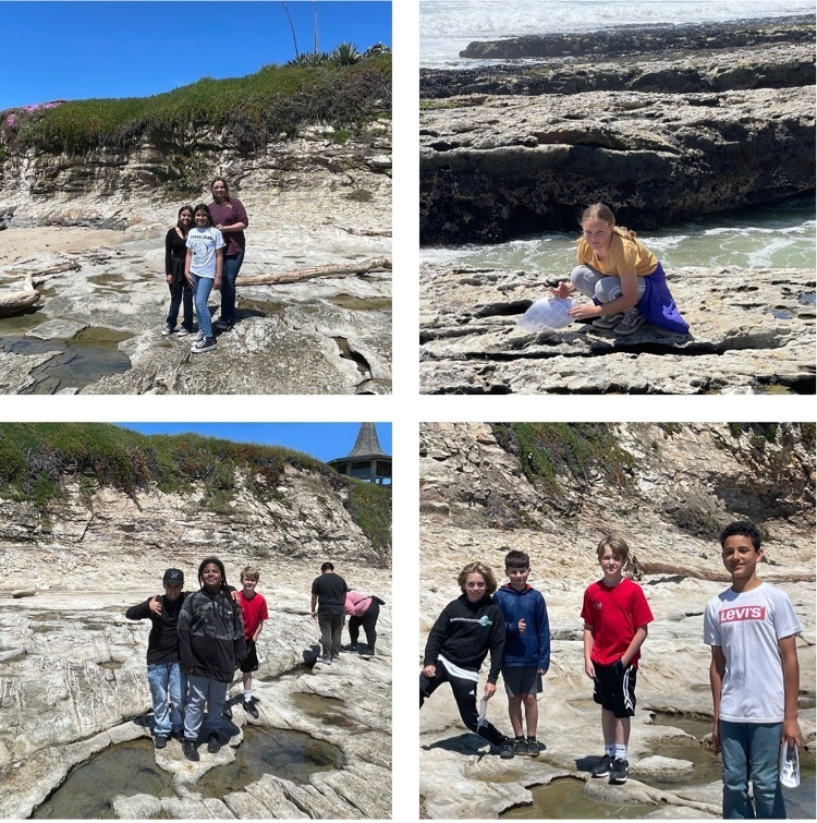 exploring tidepools